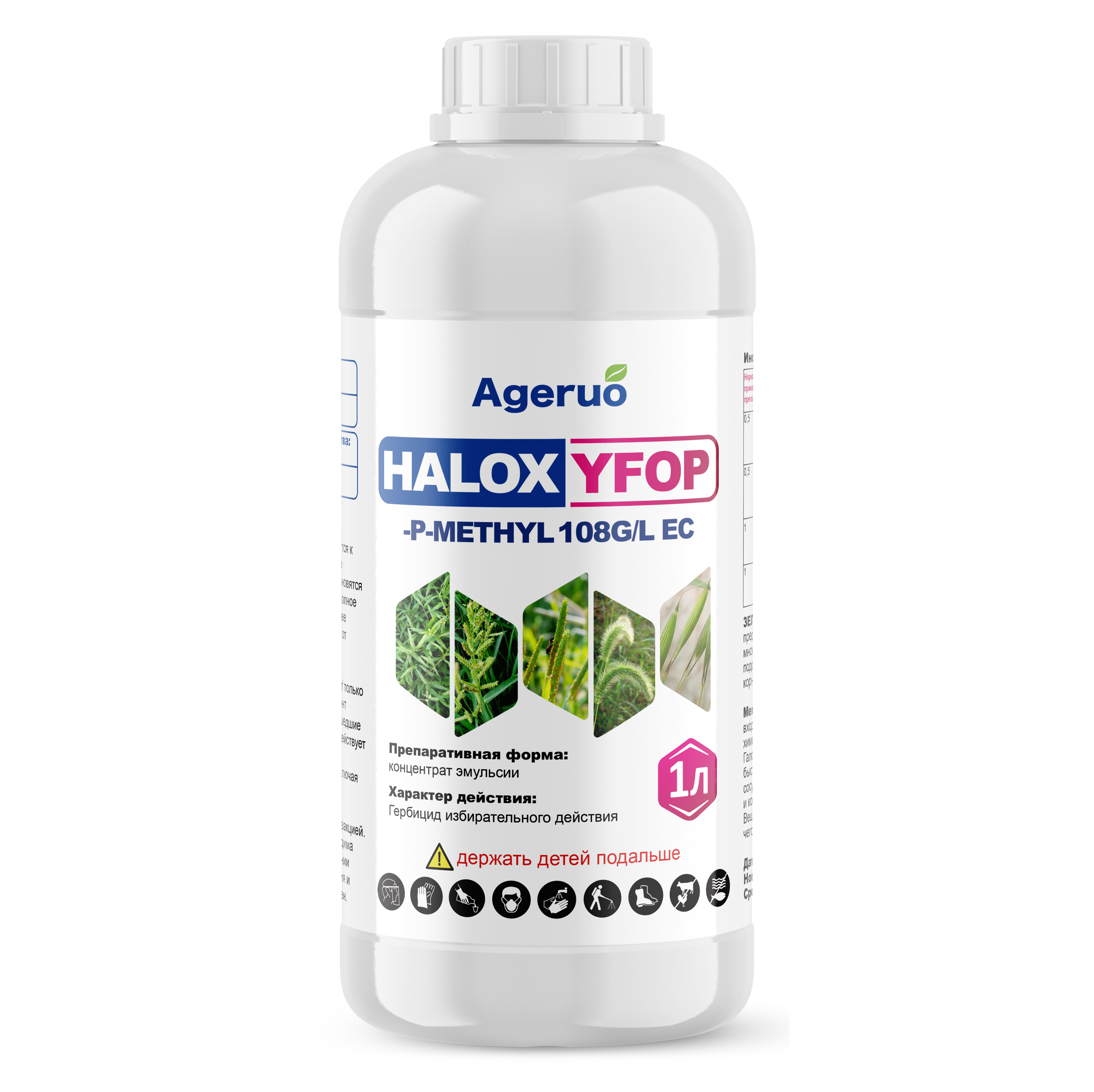 golden heart dracaena Dracaena Golden Heart | Indoor Air-Purifying Plant