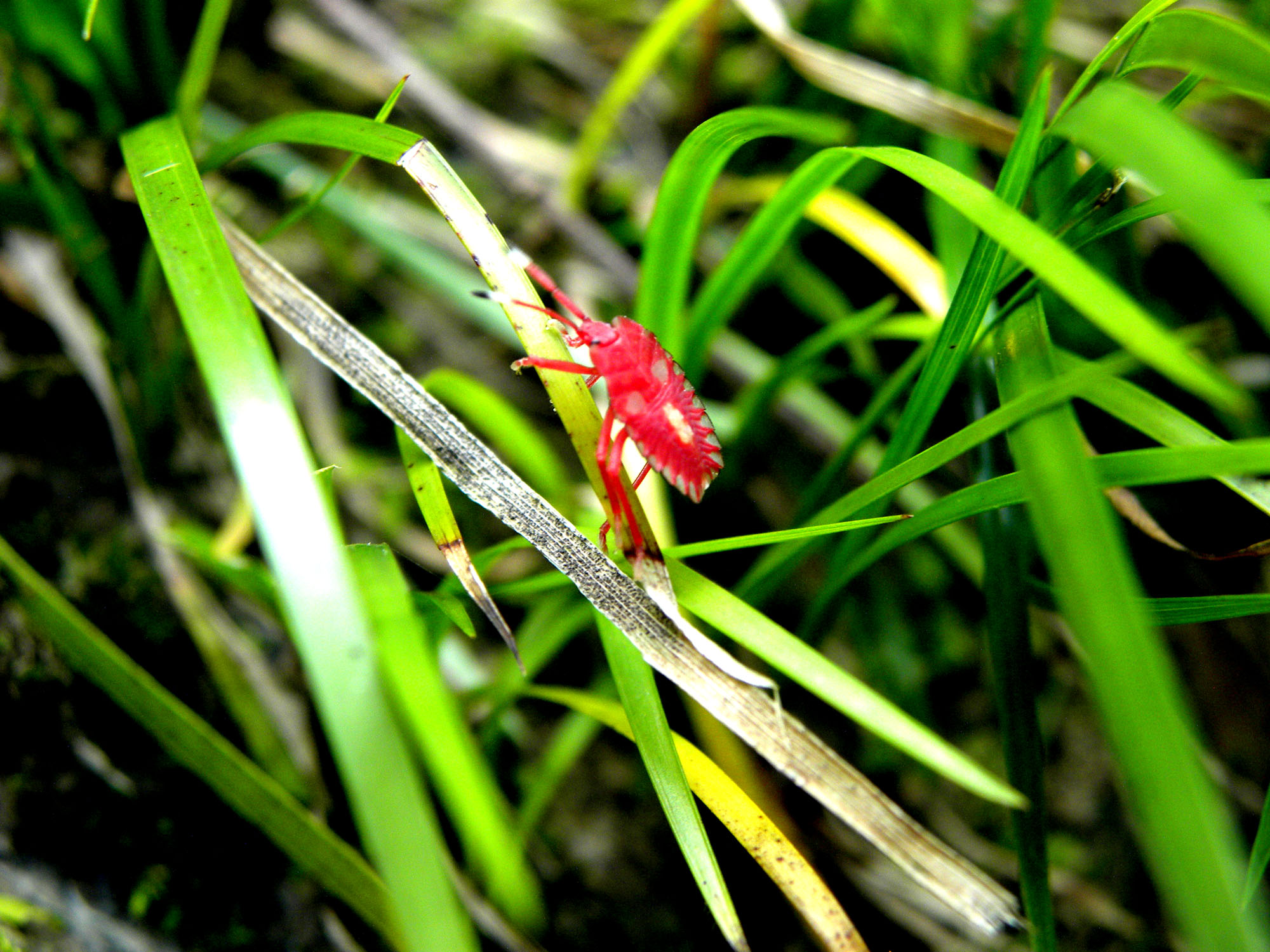 201091915522226